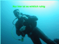 divingklaus.info
