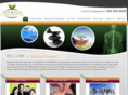 naturallychiropractic.net