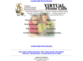snaconsulting.com