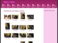 vilito.com
