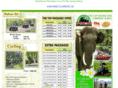 balielephanttour.com
