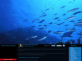 bestfishaquarium.com