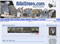 bibisteps.com