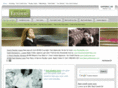 directpaydaylenders.net