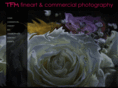 tfmfineart.com