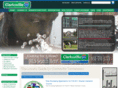clarksvilletninsurance.com