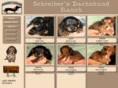 schreibersdachshundranch.com