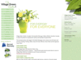 villagegreencenter.com