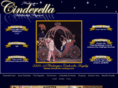 washingtoncinderella.com