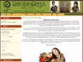 bambinibags.com