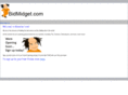bidmidget.com