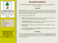 buckheadforestry.com