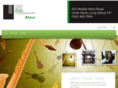 musicalinstrumentsforrent.com