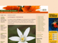 ornithogalum.net