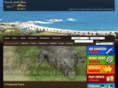 toursforsouthafrica.com