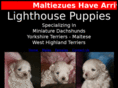 lighthousepuppies.com