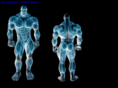 muscleblueprint.com