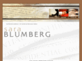 sarablumberg.com