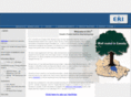 theerigroup.com