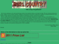 burlcountry.com