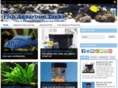 fishaquariumtanks.org