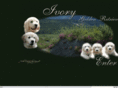 ivorygolden.com
