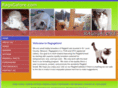 ragsgalore.com