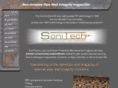 sonitechndt.com