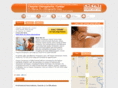 cheynechiropractic.net