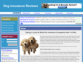 doginsurancereviews.net