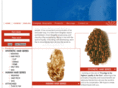meihaihair.com