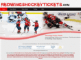 redwingshockeytickets.com