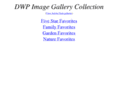 dwp53.com
