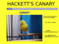 hackettscanary.com