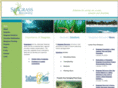 seagrassrecovery.com