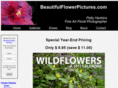 wildflower-calendar.com