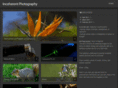 incoherentphotography.com