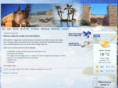mallorcatoday.info