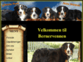bernervennen.com