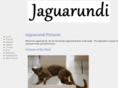 jaguarundi.net