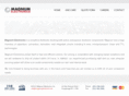 magnumelectronics.net