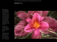 waitephoto.com