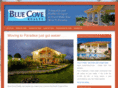 bluecoverealty.com