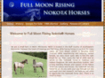 nokotahorses.com