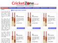 thecricketstore.net