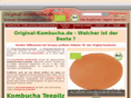 original-kombucha.net