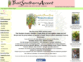 thatsouthernaccent.com