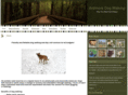ardmoredogwalking.com