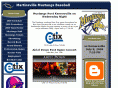 martinsvillemustangs.com