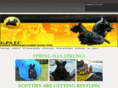 pghscotties.org
